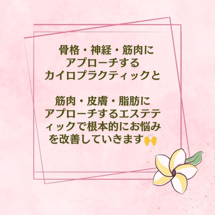 画像231